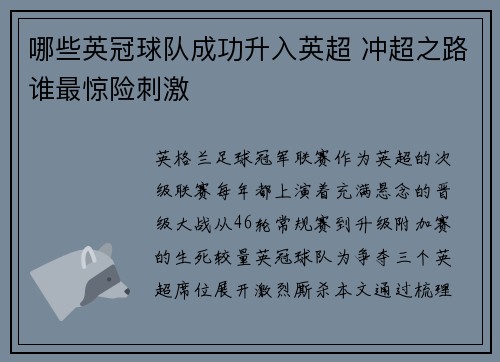 哪些英冠球队成功升入英超 冲超之路谁最惊险刺激