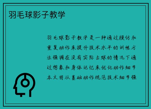 羽毛球影子教学